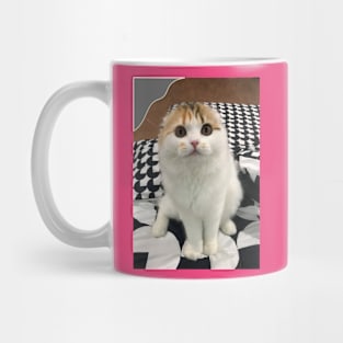 The little cute cats fold Mug